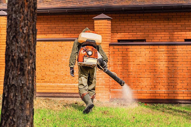 Trusted Ant Control service in University Park, TX - Nex Pest Control
